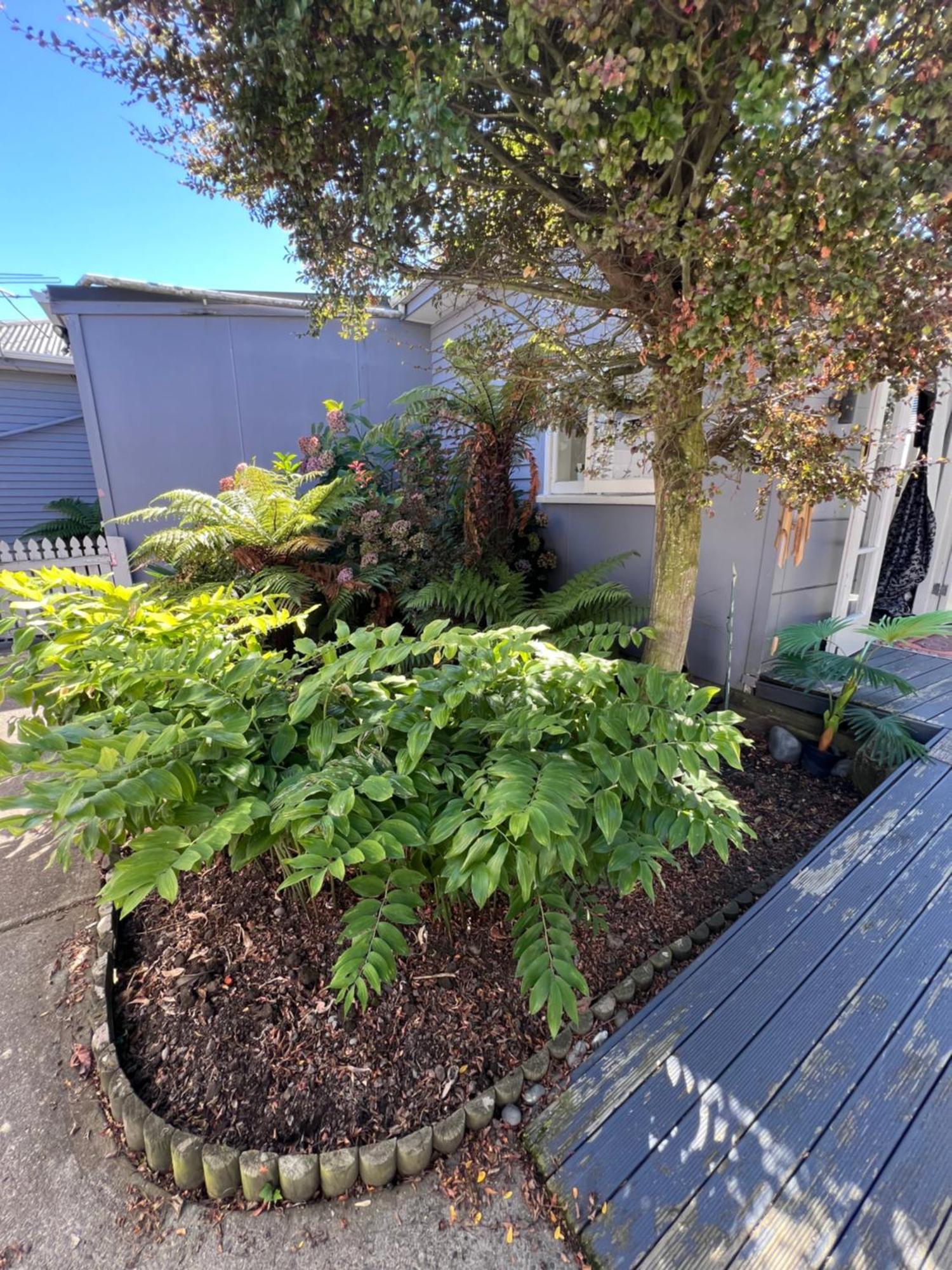 Gorgeous Villa, 7 Minutes From Airport Christchurch Buitenkant foto
